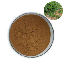 High Quality Pure Natural 10%-60% Polysaccharides Sargassum Fusiforme Extract Powder